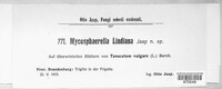 Mycosphaerella lindiana image